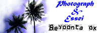 THE BEYOONTAVOX BBS
